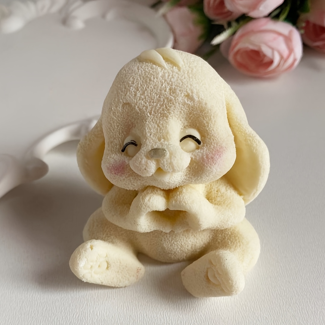1 Stück entzückende Hasen-Sili – Soap Making Dish Bewertung und Preis